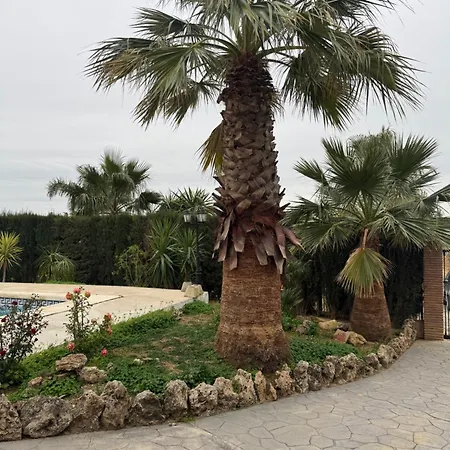 Cortijo El Pulpito Tatil Evi